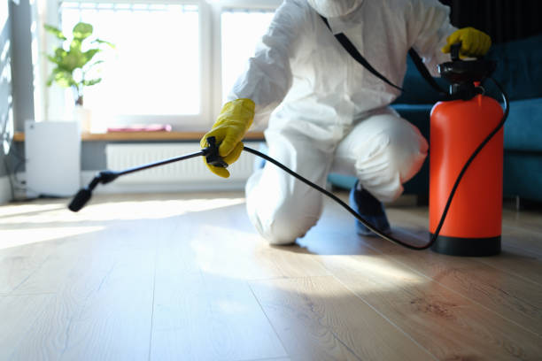 Reliable Odor Removal contractor in New Milford, NJ by Trauma Clean Pros